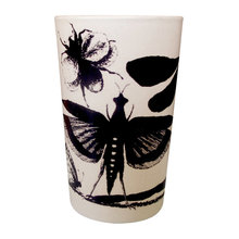 EEerie, quirky, whimsical