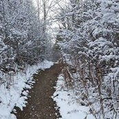 Brad COdy's photo