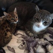 Katie Halverson's photo