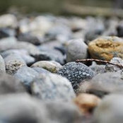Sela Serafin's photo