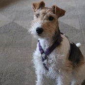 Tami Williams's photo