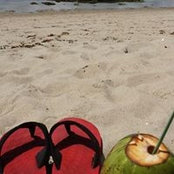 Marcelo Lima's photo
