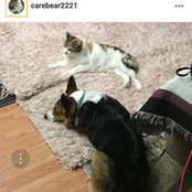 Caroline's photo