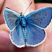 Sally Marzouk's photo