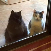 Sonya Bankester's photo