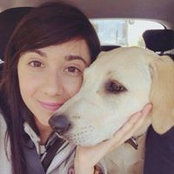 Anna Al's photo