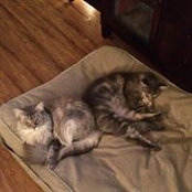 Brigitte Jaeger's photo