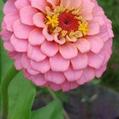 Marlene Whipple's photo