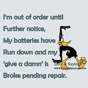 Heather Wang's photo