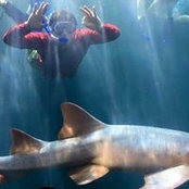 Kevin Maranan's photo