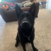 Cynthia Groder's photo
