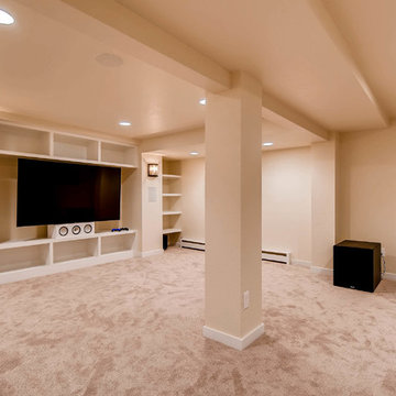 Eagle Modern Basement