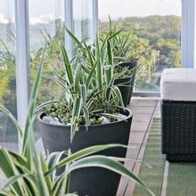 Planters