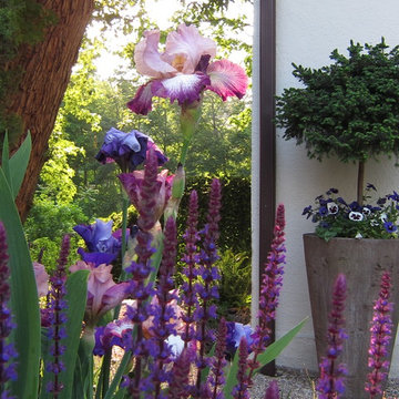 California, Provence in Bronxville