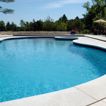 North Barrington, IL Freeform Pool and Spa with Picture Frame Automatic Cover