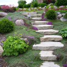 Landscape Ideas