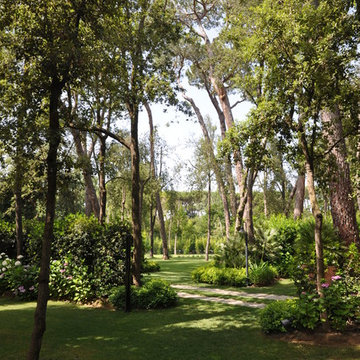 Landscapes of art in Versilia