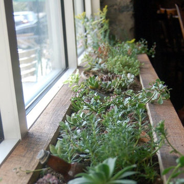 Artifact Coffee Planter Boxes