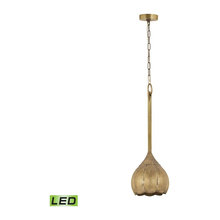Pendant Lights