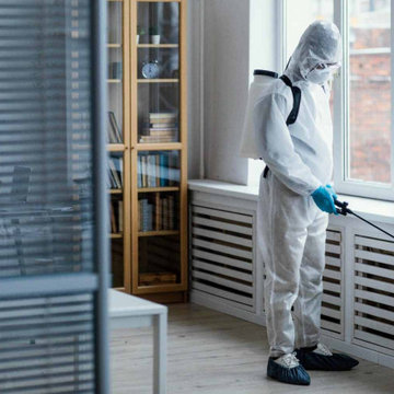 Professional Pest Control Services in Dubai | Al Ameen Pest Control