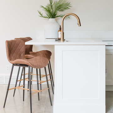 Wascana Basement Revamp