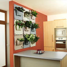 11.2020 Indoor Wall Garden