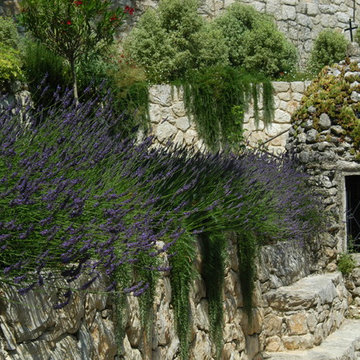 Provençal Garden