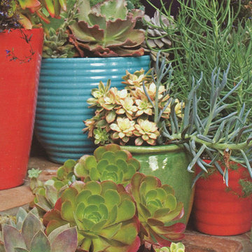 beverly hills peck -