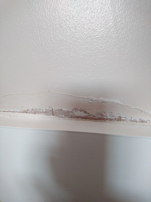 Why is paint peeling? Houzz UK