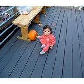 Cynthia Fehr's photo