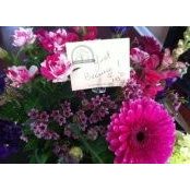 Debbie Sembler O'Shea's photo