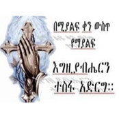 Photo de Roha Kassaye