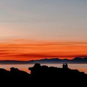 Foto von Fiona Scott