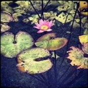 Liron Litman's photo
