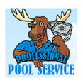 Professional Pool Service's profile photo