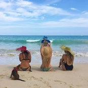Cori Chamberlin's photo