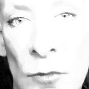 David Stoner's photo