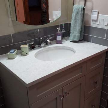 Cool Gray Bathroom - Township of Washington, NJ