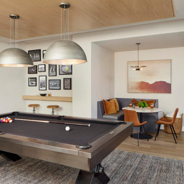 Denver Basement Remodel