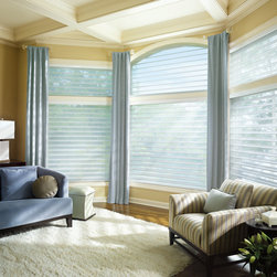 Traditional Grey Living Room Custom Window Window Shadings by Hunter Douglas - Window Treatments
