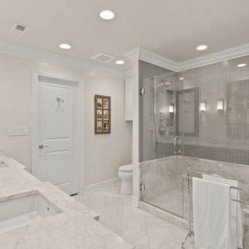 Extraordinary transitional home renovation
