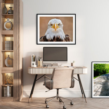 Bald Eagle Portrait Close-up 2 Rustic Farmhouse Style Wall Art Prints