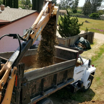 Septic Tank Services