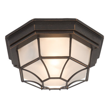 Yosemite One Exterior Light With Oil-Rubbed Bronze Frame Finish 3902LIORB
