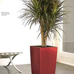 Modern Planter - Products