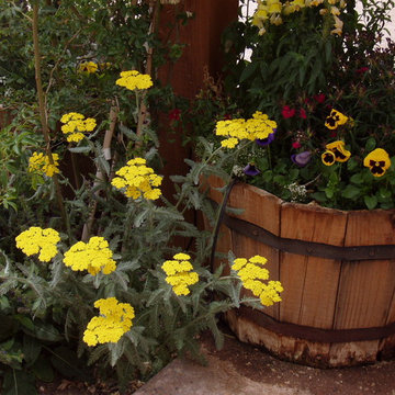 Perennial Flower Bed Design