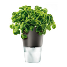 indoor herb garden | houzz indoor herb garden | houzz