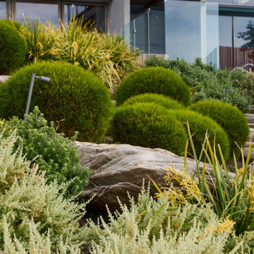 Finalist - 2022 Residential Landscape Design of the Year - Pepo Botanic Design