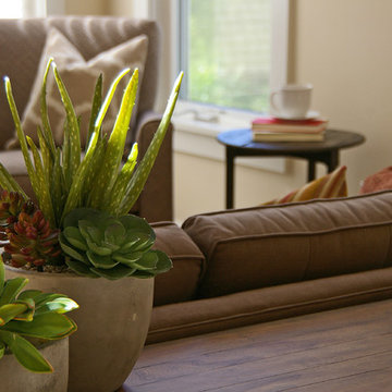 Modern Living - Mercer Island, WA