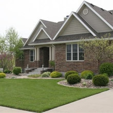 Landscape Ideas